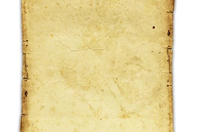 Paper Scroll Backgrounds Five