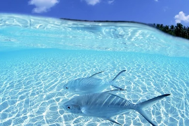 Thailand Exotic Beach Wallpapers Pictures