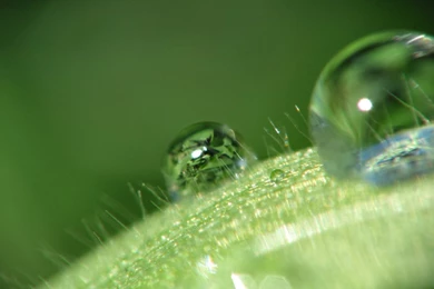 20 Water Drops Wallpapers