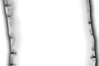 Download Texture: Scroll Old Paper, Download Texture, Backgrounds