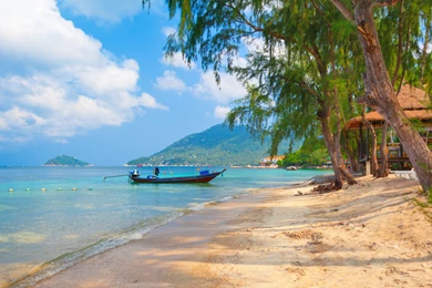 Thailand Nature Boat Beach Koh Tao Beautiful Landscape Trees ...
