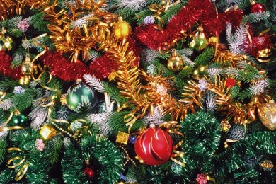 1680*1050 Widescreen Christmas Trees   Festive Christmas Tree ...