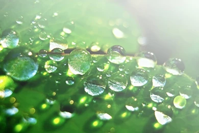 Cool Water Drop Wallpapers 4409 1920x1080 Px ~ WallpaperFort.com