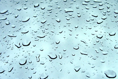 Water Drops Wallpapers