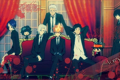 DeviantArt: More Like Vongola Decimo Wallpapers 1B By Sensei kun