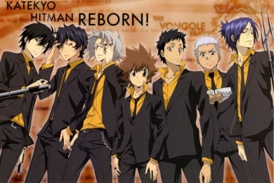 Moonlight Summoner's Anime Sekai: Katekyō Hitman Reborn! 家庭教師 ...