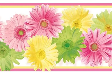 Baby Nursery Kids Crazy About Kids Shop Wallcovering By Collection ...