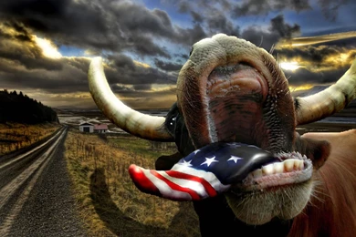 Patriotic Desktop Backgrounds   Bing Images