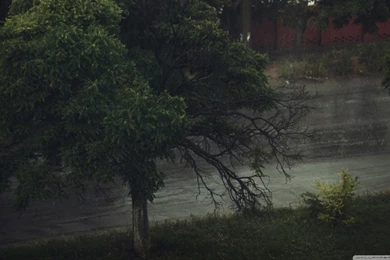 Rainy Day HD Desktop Wallpapers : High Definition : Fullscreen : Mobile
