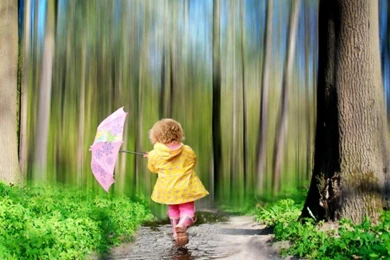 Rainy Day Backgrounds