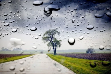 Rainy Day Wallpapers