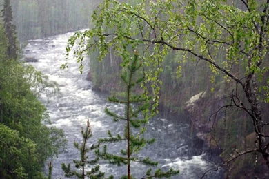 Beautiful Rain Pictures (45 Photos)