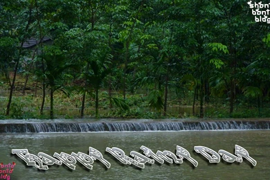 Top Wallpaper: Happy Rainy Day Wishes Wallpapers With Wishes Messages