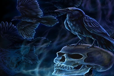 687 Skull HD Wallpapers