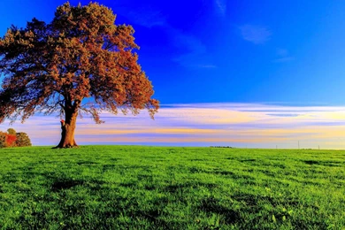 1920x1080 Nice Summer Day Desktop PC And Mac Wallpapers