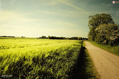 1920x1200 Nice Summer Day Desktop PC And Mac Wallpapers