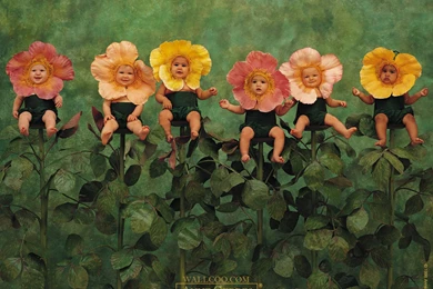 Wallpaper: Hd Wallpapers Anne Geddes