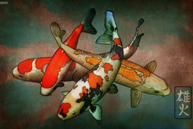 Jestingstock.com Koi Art Wallpapers