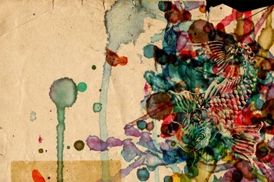 Koi Wallpapers By JesusLizards On DeviantArt