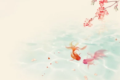 Lovely Koi Couple Spring Wallpapers