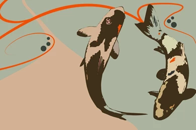 Koi Fish Pack 2 Live Wallpapers   Android Apps And Tests   AndroidPIT