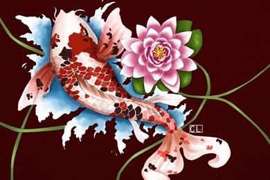 Koi Fish Art HD Wallpapers   Android Apps And Tests   AndroidPIT