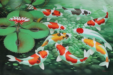 Koi Fish Painting   Wallpaper.