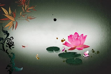 Oriental Water Lily Koi >> HD Wallpaper, Get It Now!