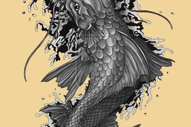 Koi Fish Art HD Wallpapers   Android Apps And Tests   AndroidPIT