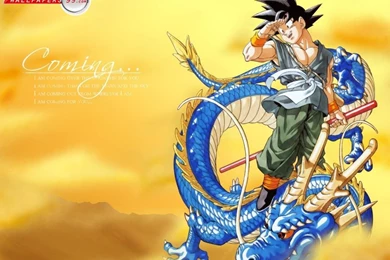 Dragon Ball Z Wallpapers Hd   Widescreen HD Wallpapers