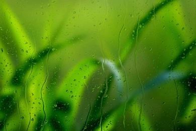 Beautiful Monsoon Wallpapers   1280x991 IWallHD   Wallpapers HD