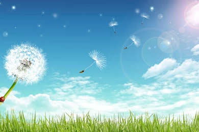 Design, Cartoon, Under, Blue, Sky, Dandelion, Fly, Creative, Ideas ...