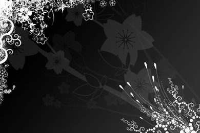Trololo Blogg: Filigree Wallpapers Black And White