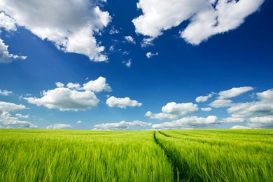 Best Sources For Desktop Pictures Free Downloads: Pictures For ...