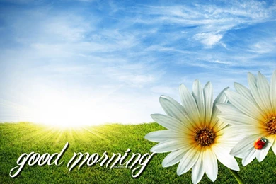 GOOD Morning Desktop Wallpapers