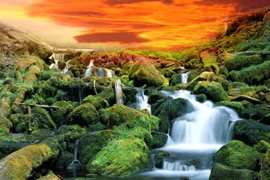 Animated Wallpapers Gif