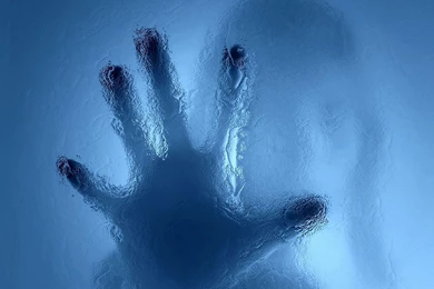 New blog pics: Freeze Wallpapers Free Download