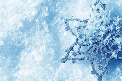 1600x1200 Winter Snowflake Wallpapers