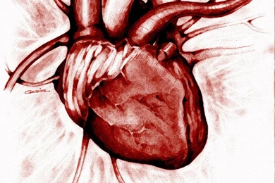 HD Heart Wallpapers Love Wallpapers Car,Disney Cartoon Wallpapers ...