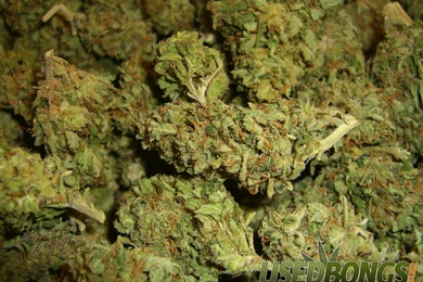 Marijuana Wallpapers   Wallpapers Cave