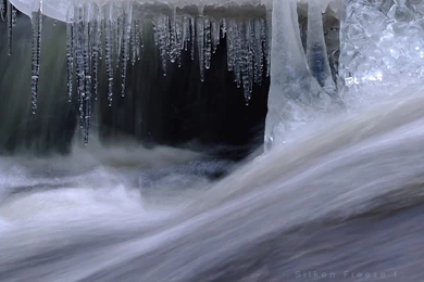 Silken Freeze 1   Wallpapers By Skinnerstyles On DeviantArt