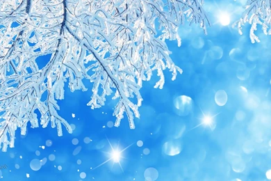 Icy_shine_on_tree_lights_sky_blue_freeze_hd wallpaper 1912471.jpg