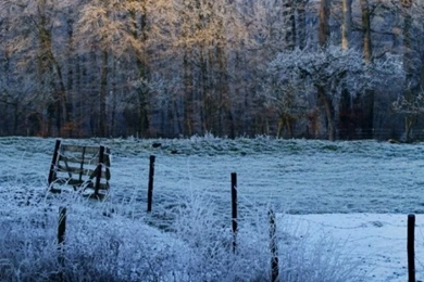 Download Wallpapers 750x1334 Morning, Lake, Frost, Freeze, November ...