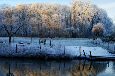 Download Wallpapers 1366x768 Morning, Lake, Frost, Freeze, November ...