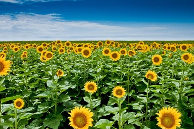 HDR Images Make For Stunning Desktop Wallpapers