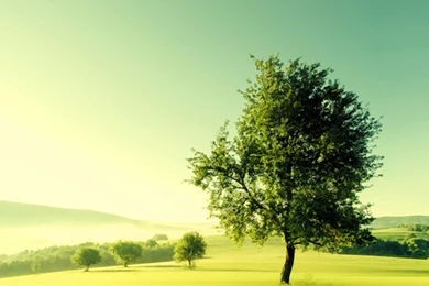 New ipad wallpaper hd 2048×2048 507