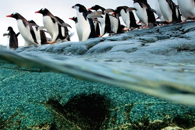 New ipad wallpaper hd 2048×2048 756