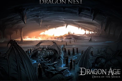 Dragon Age: Dawn Of The Seeker Wallpapers 009 Dragon Nest 2 ...