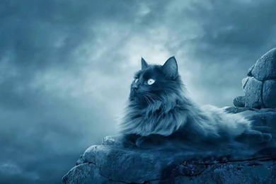 Free Online Desktop Hd Wallpapers 3D