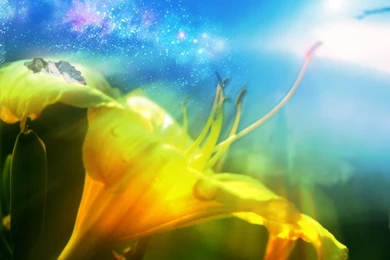 Wallpapers Dark Fansty Hd Free Online 1024x768